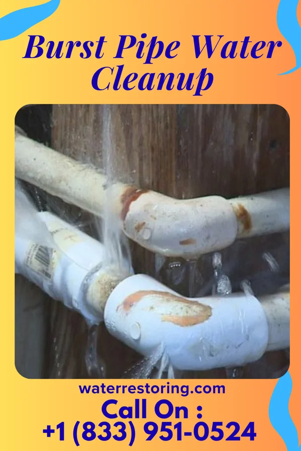 Burst Pipe Water Cleanup in Bull Run, VA