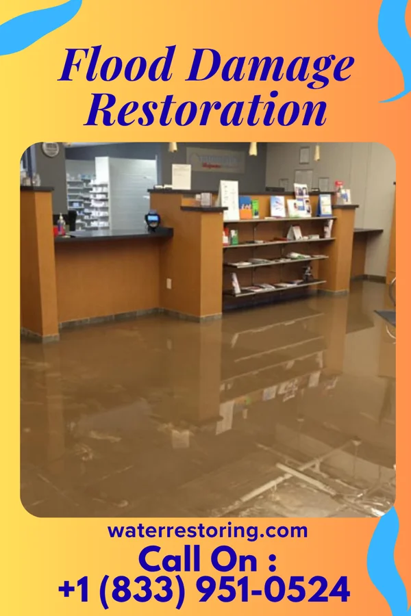 Flood Damage Restoration in Bull Run, VA