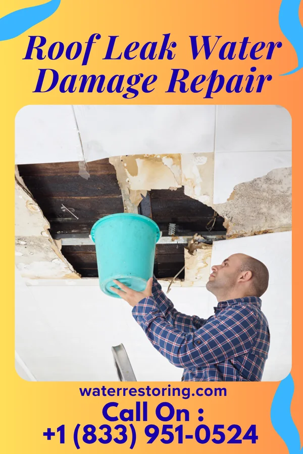 Roof Leak Water Damage Repair in Bull Run, VA