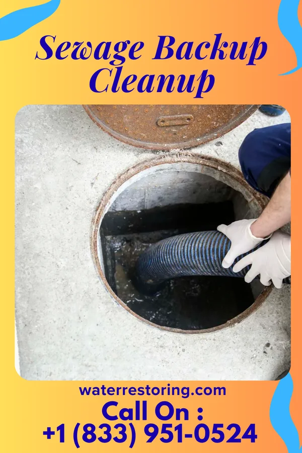 Sewage Backup Cleanup in Bull Run, VA