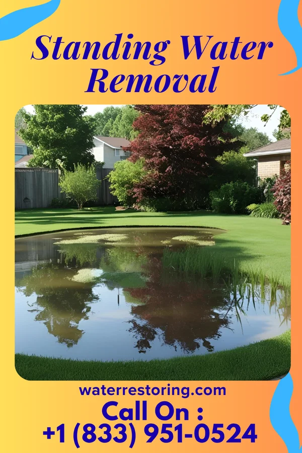 Standing Water Removal in Bull Run, VA